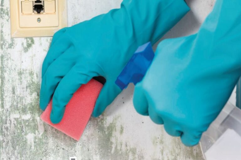 Olin & K2 collaboration enhances bleach distribution in Western US