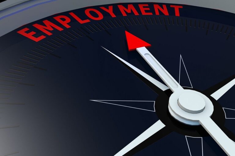 US employment index steady in June amid mixed signals: TCB